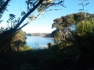 Mairangi Bay and Murrays Bay, Auckland, New Zealand