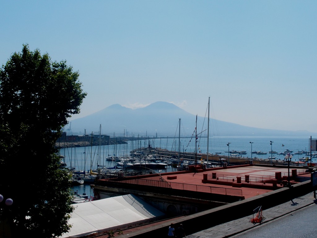 Vesuvius and the port of Naples