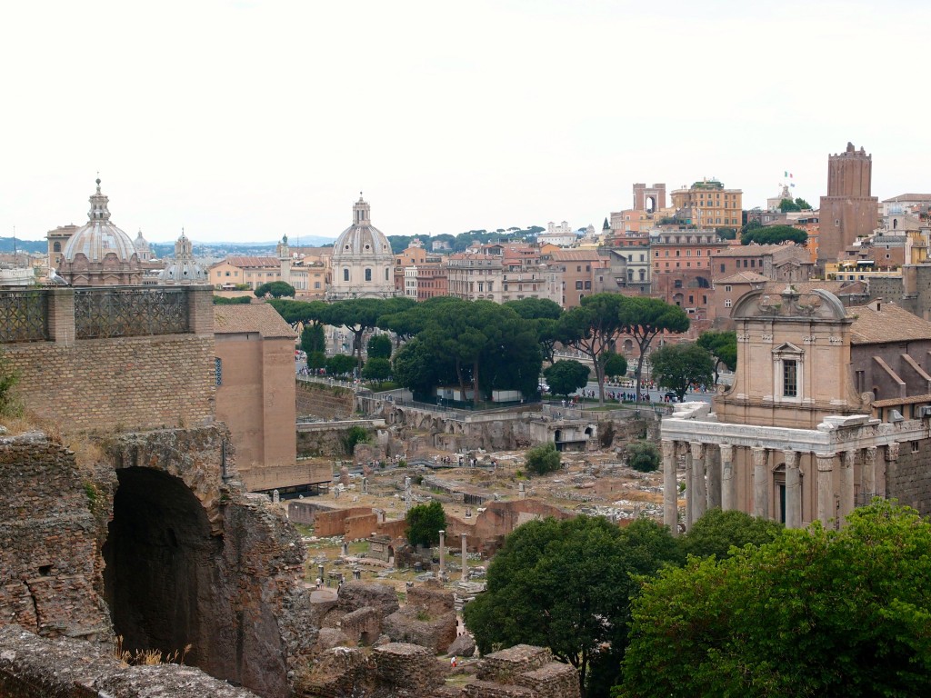 Rome from Palatine Hill