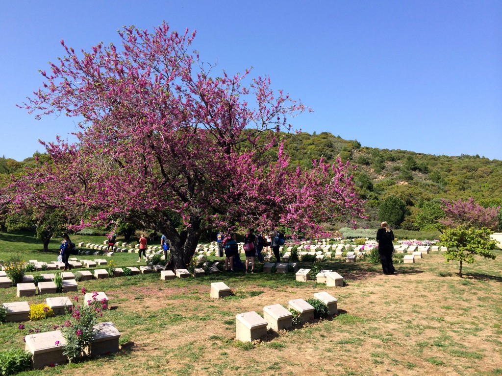 Shrapnel Valley Cemetery, Gallipoli, Turkey