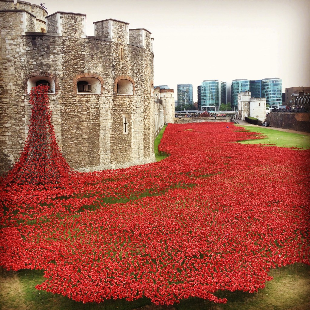 Poppies, Tower of London, England