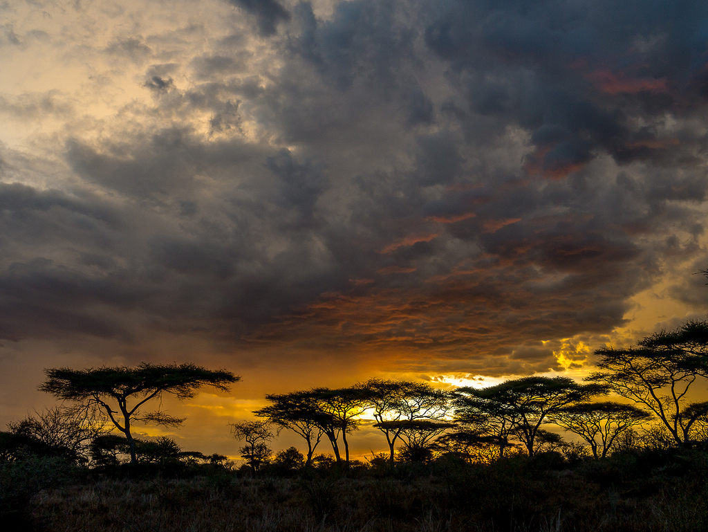 Serengeti National Park, Tanzania 