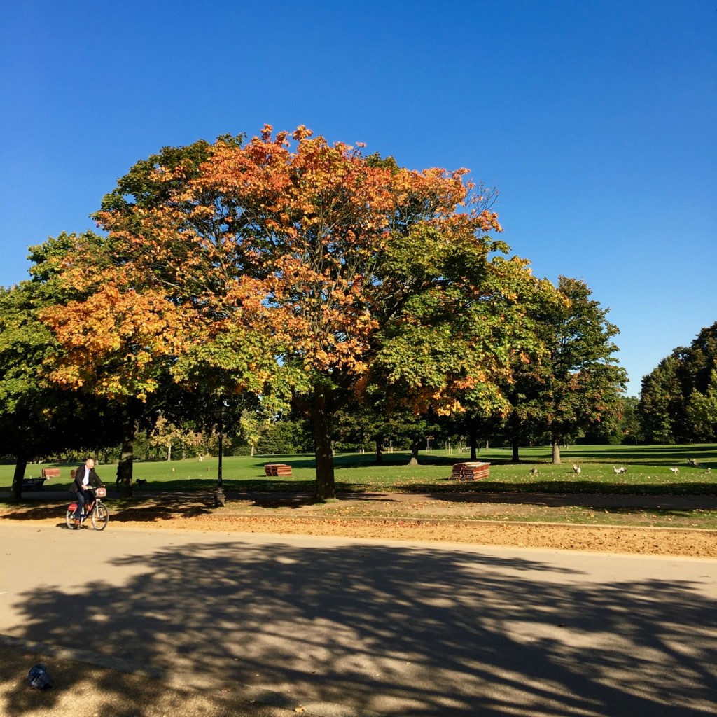 Autumn, Hyde Park, October