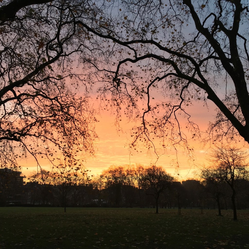 Sunrise, Green Park, London