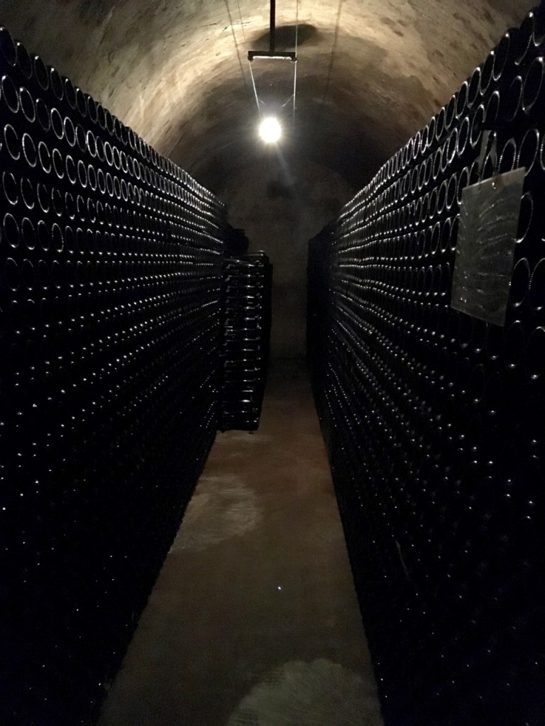 Ployez-Jacquemart, Champagne, France