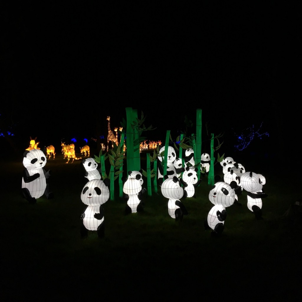 Chinese Lantern Festival, Chiswick, London
