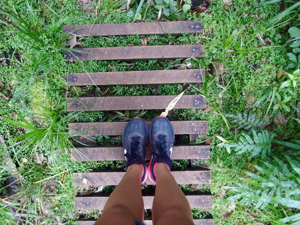 Back to Nature in the Cascades, Waitakere, New Zealand - Two Feet, One World
