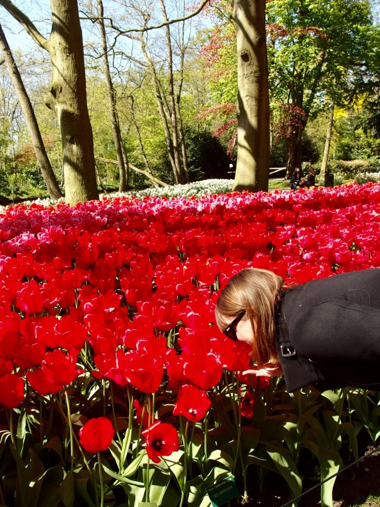 Keukenhof's Tulip Gardens - Two Feet, One World