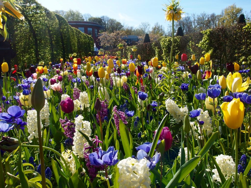 Keukenhof's Tulip Gardens - Two Feet, One World