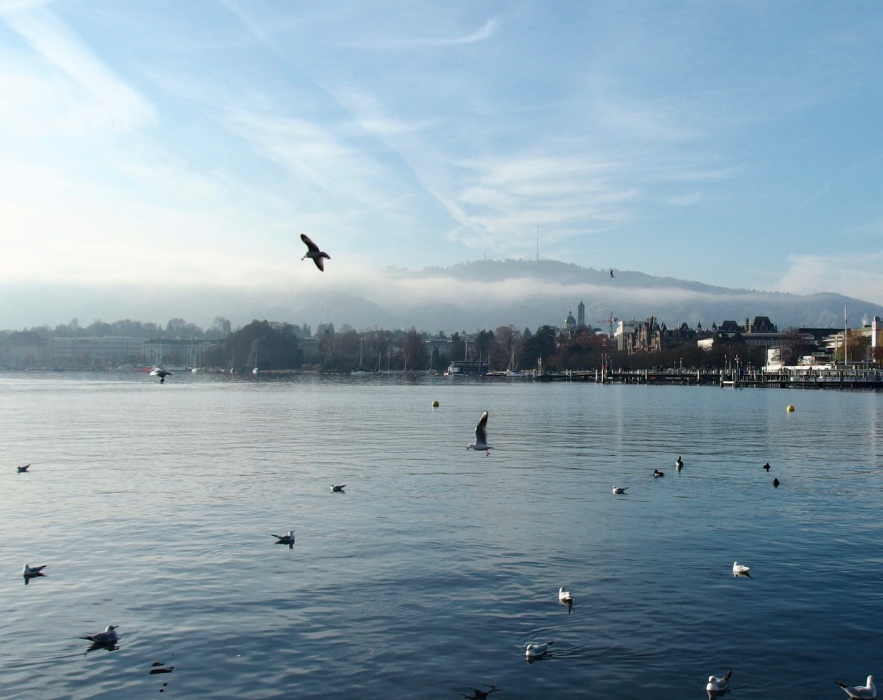 Lake, Zurich, Switzerland