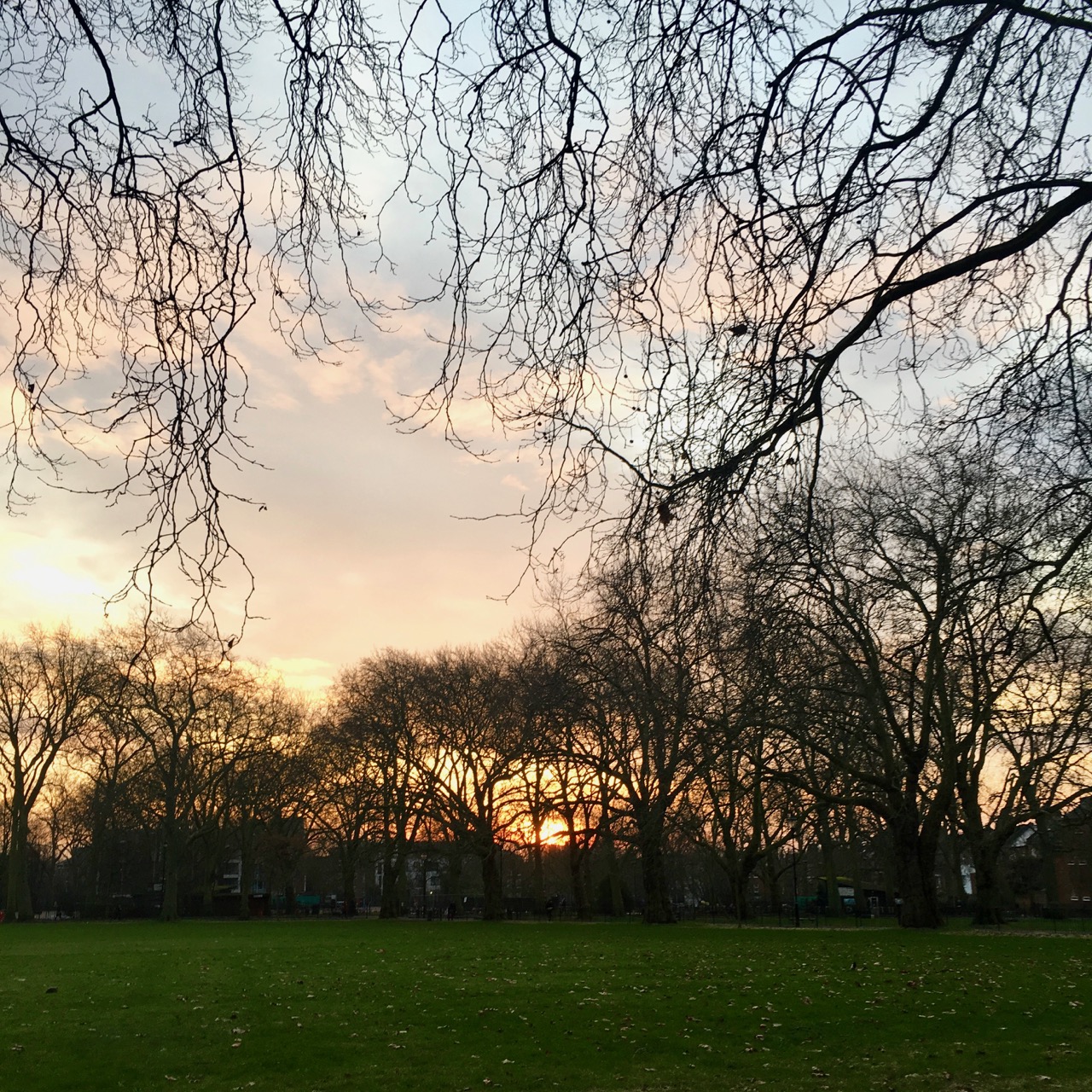 Sunrise, Highbury, London