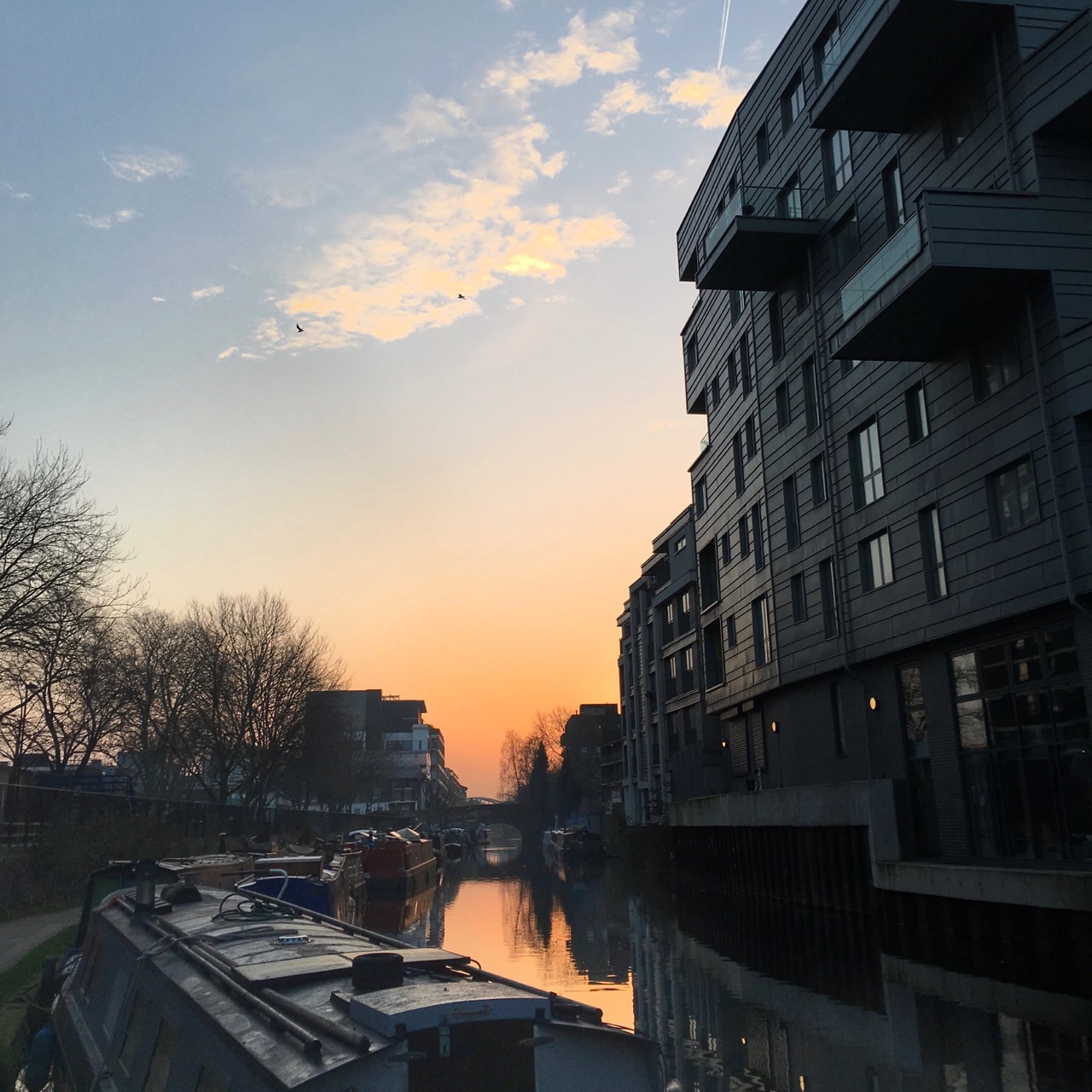 Sunrise, Canal, London