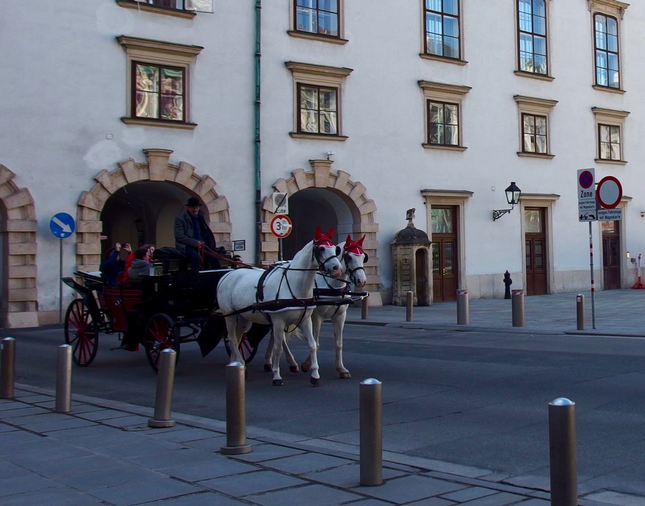 Horses, Vienna