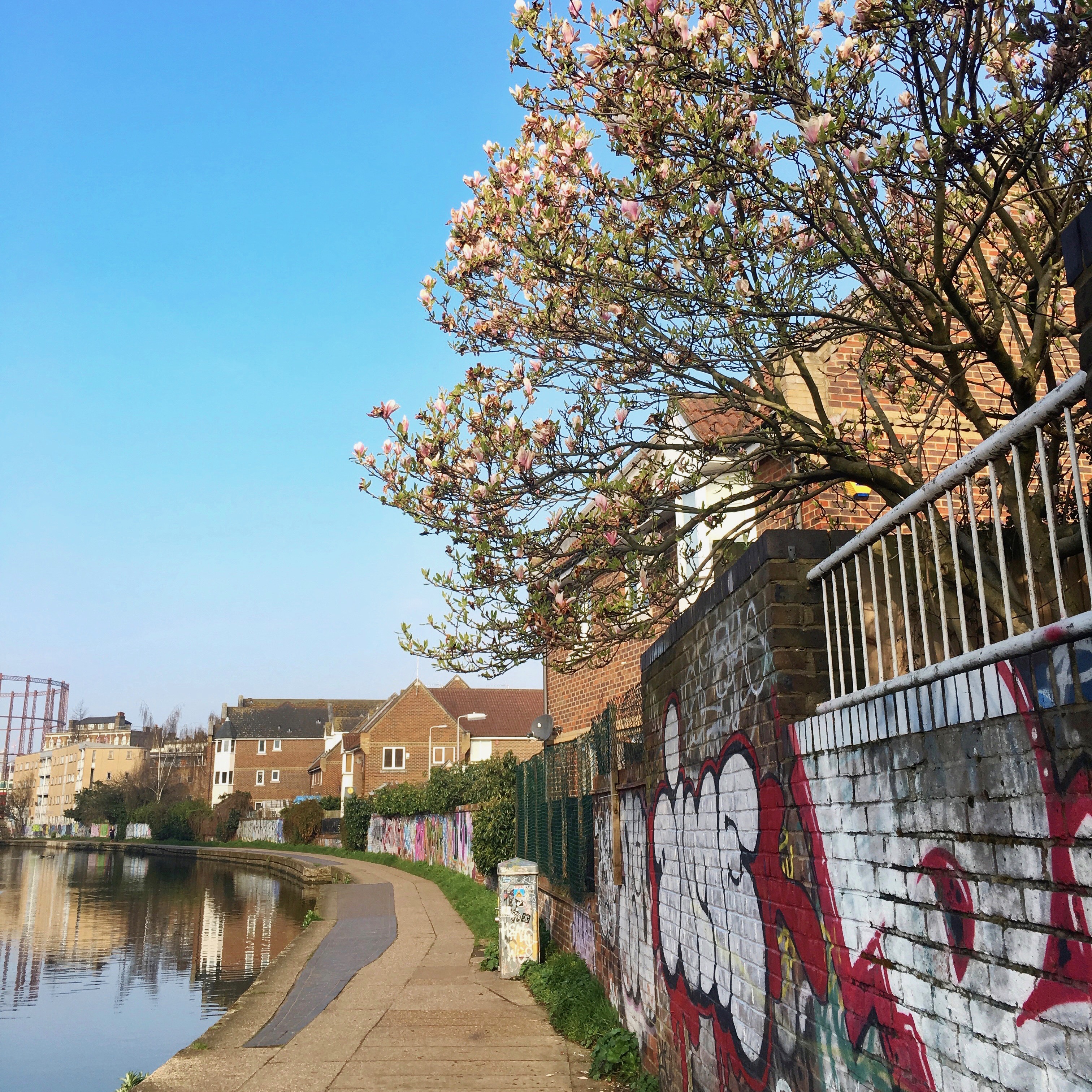 Magnolias, Canal, East London
