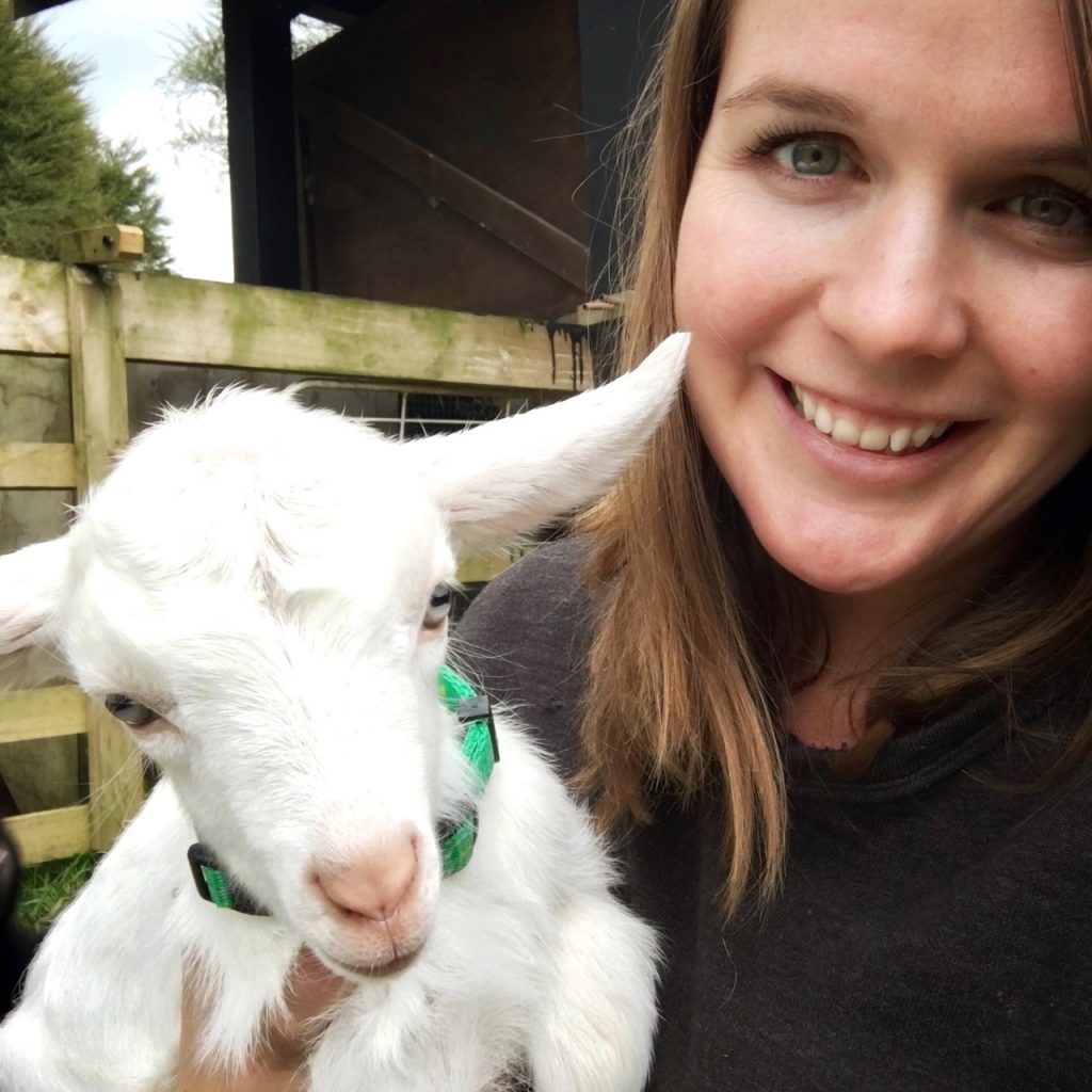 Goats, New Zealand