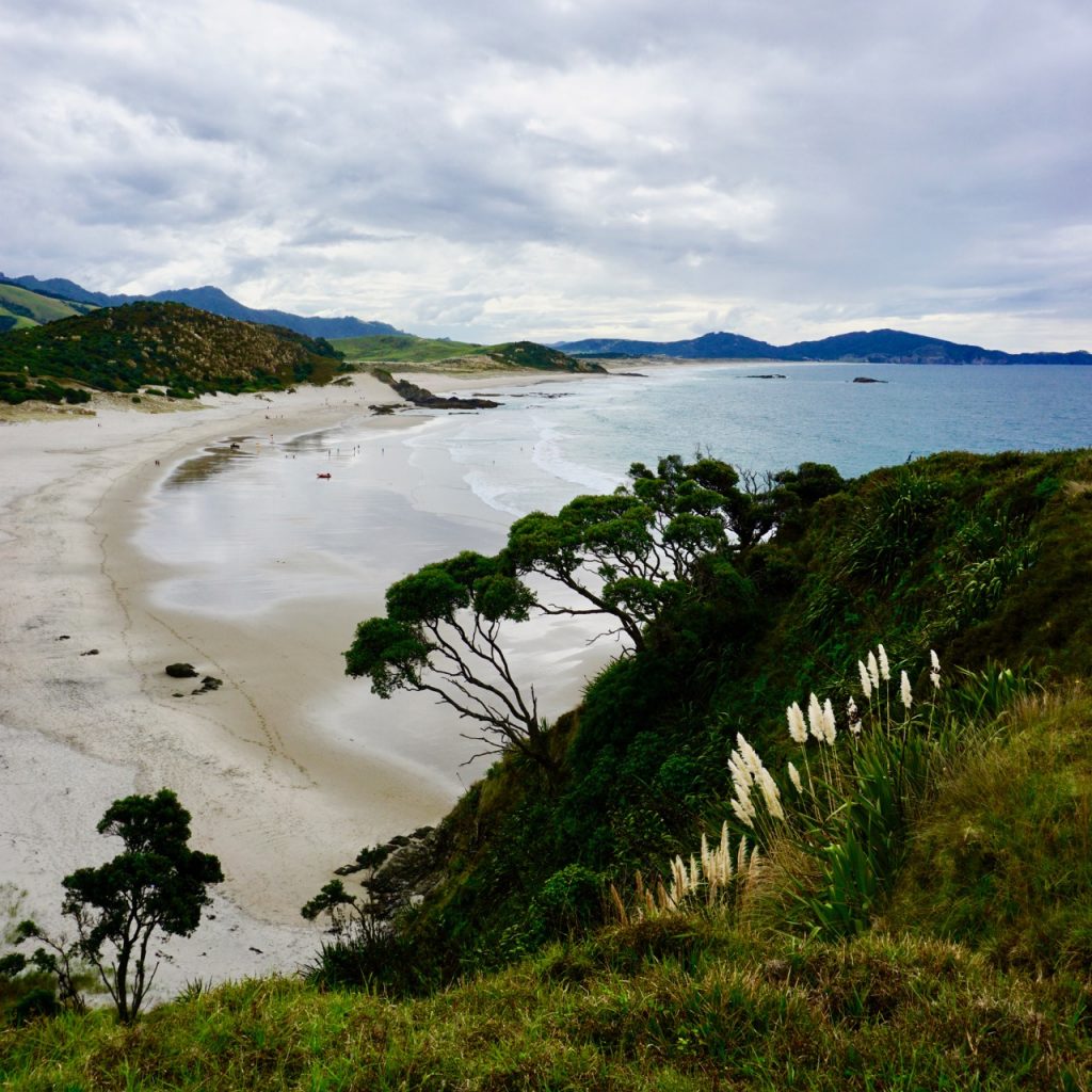 Ocean Beach, Northland, New Zealand