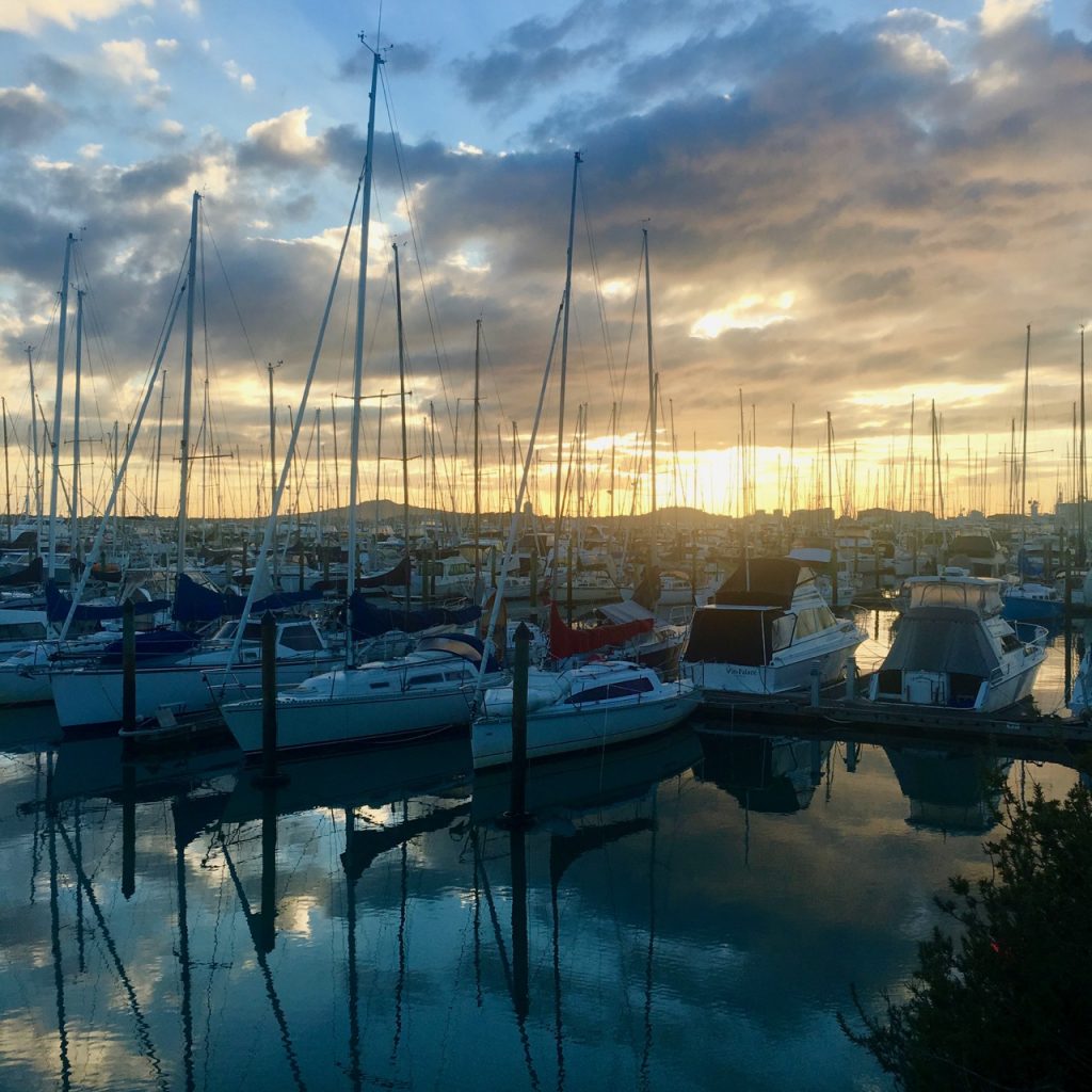 Westhaven, Auckland, New Zealand
