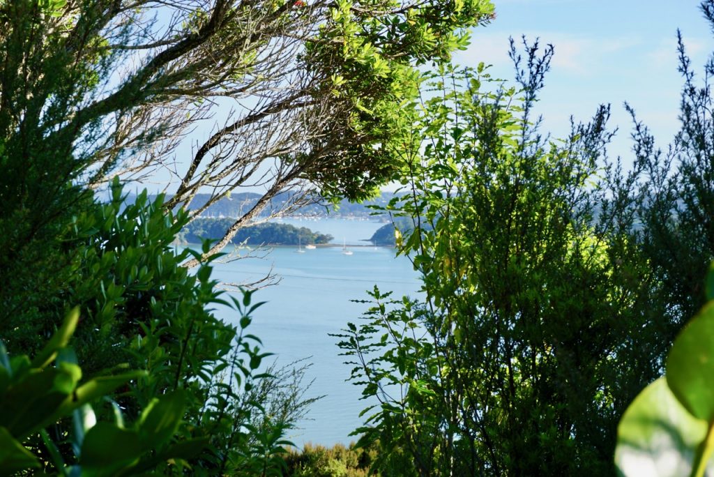 Viewpoint, Northland, New Zealand