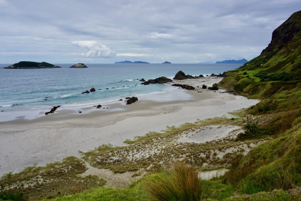 Ocean Beach, Whangarei Heads, Northland, New Zealand