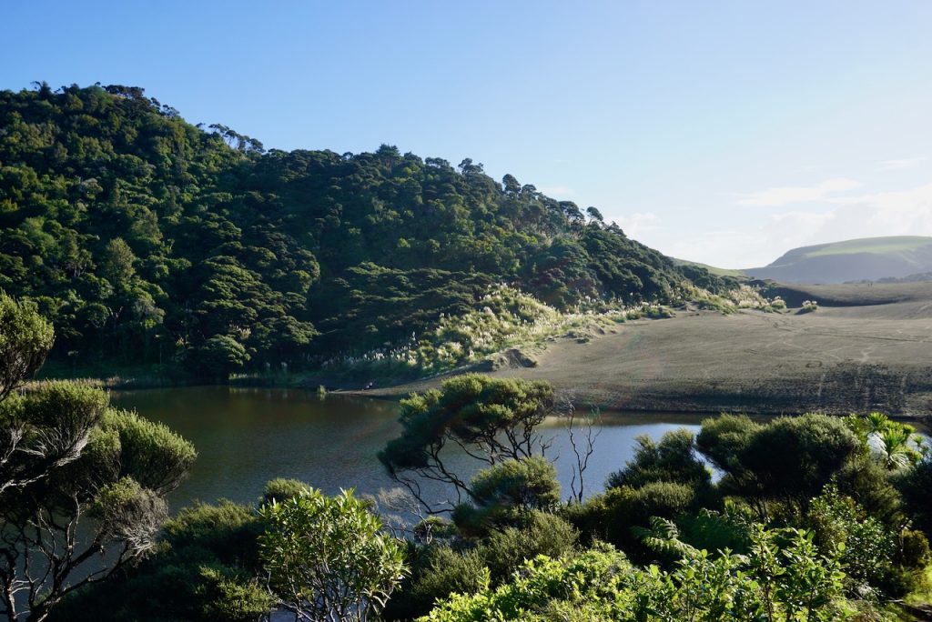 Landscape with trees in foreground and background, lake in middle, with black sand dunes extending down to it - Bethells Beach, New Zealand