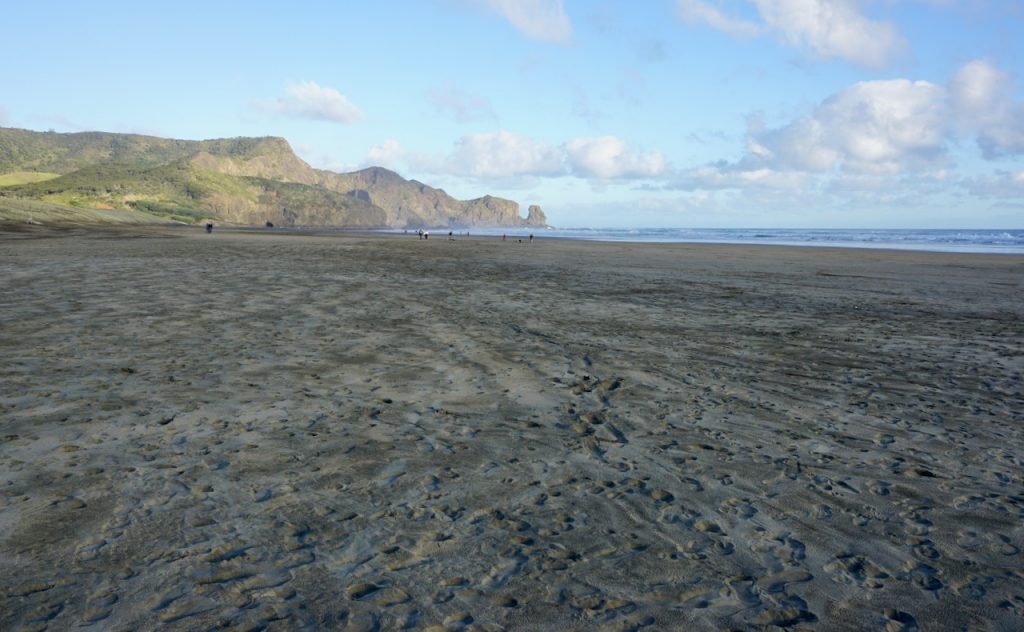 Long black sand beach with cliffs in the distance, Bethells Beach, New Zealand