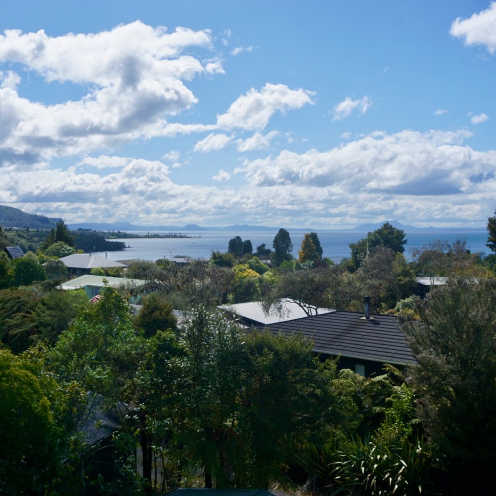 Views over houses and Lake Taupo