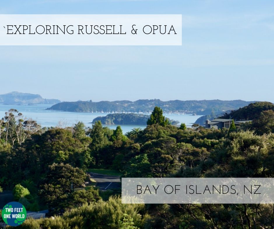 Exploring Russell and Opua, Bay of Islands - picture of bush in front with sea and islands behind