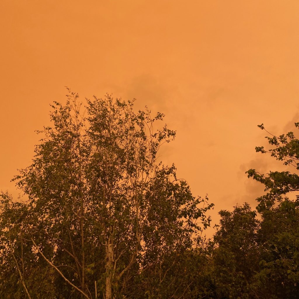 Australian bushfire smoke, New Zealand