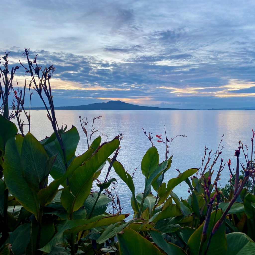 Rangitoto Island with foliage in front of sea