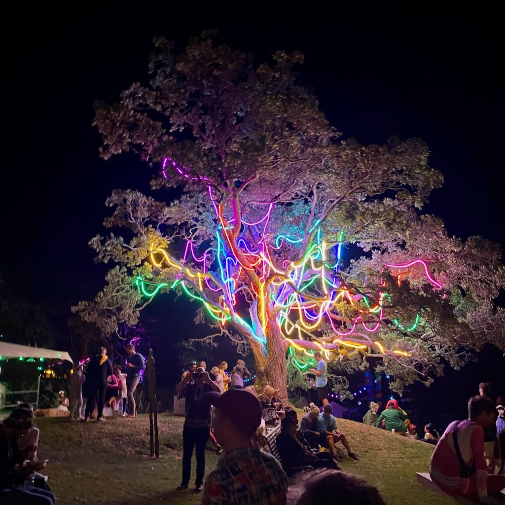 Florescent coloured lit up tree