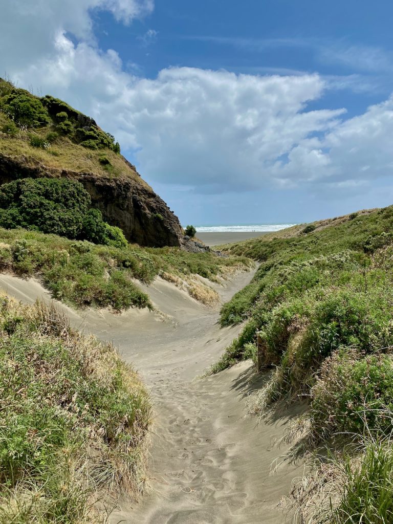 Path to Karekare Beach, Auckland