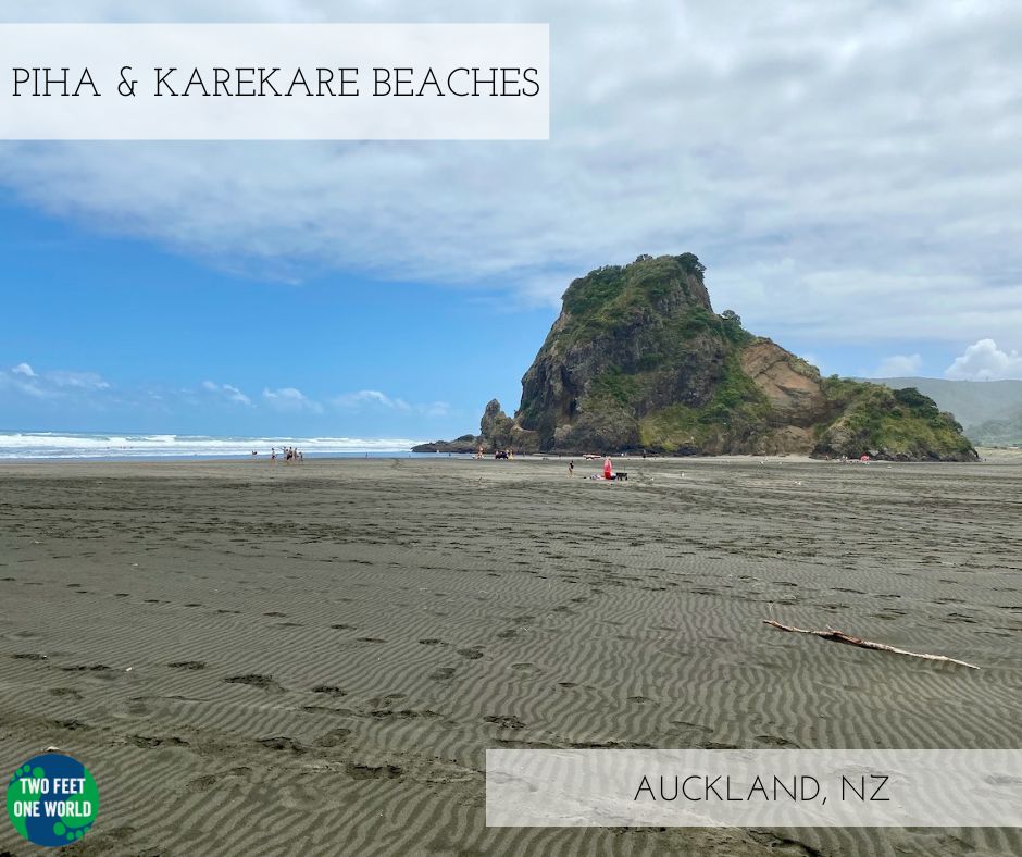 Piha beach with lion rock and surfers