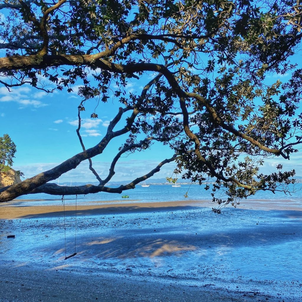 Low tide, muddy flats, blue sky, tree in front