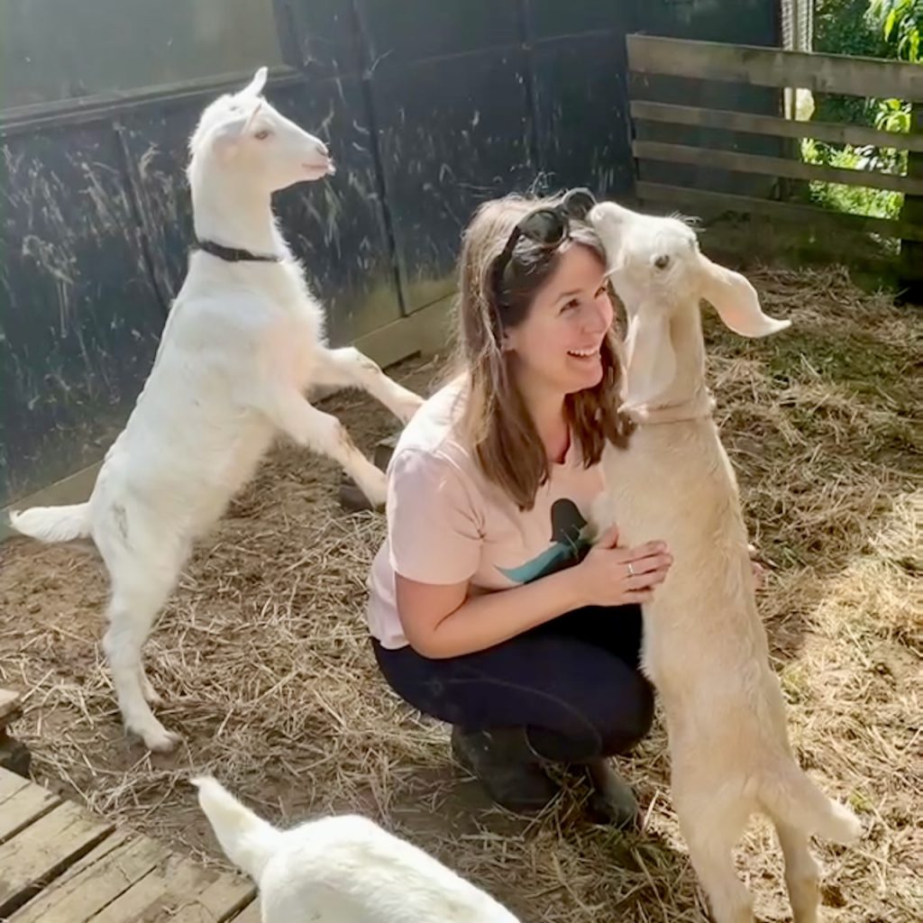 Woman surrounded by goat kids